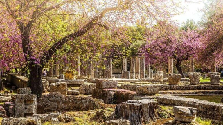 Ancient Olympia full day private tour from Athens - Ancient Olympia timing: about five hours on the ground