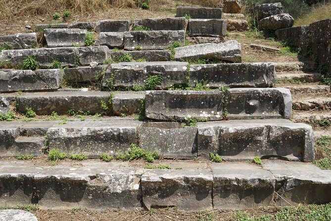 Ancient Sparta & Mystras Private Day Tour from Athens - The olive oil museum: a low-effort, very Greek ending