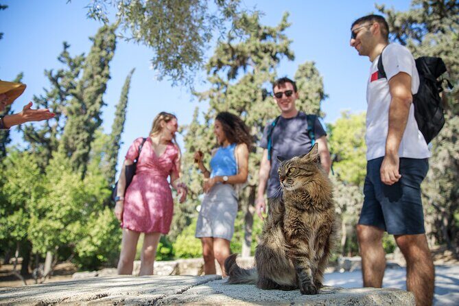 Athens Acropolis and Parthenon Walking Tour - Propylaea, Erechtheion, and the Parthenon payoff moment