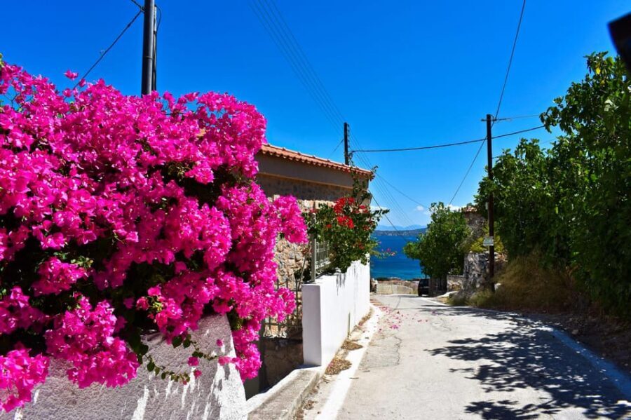 Athens: Agistri, Metopi & Aegina Cruise with Meals & Drinks - Agistri Island: Beaches, Green Views, and One Hour That Moves Fast