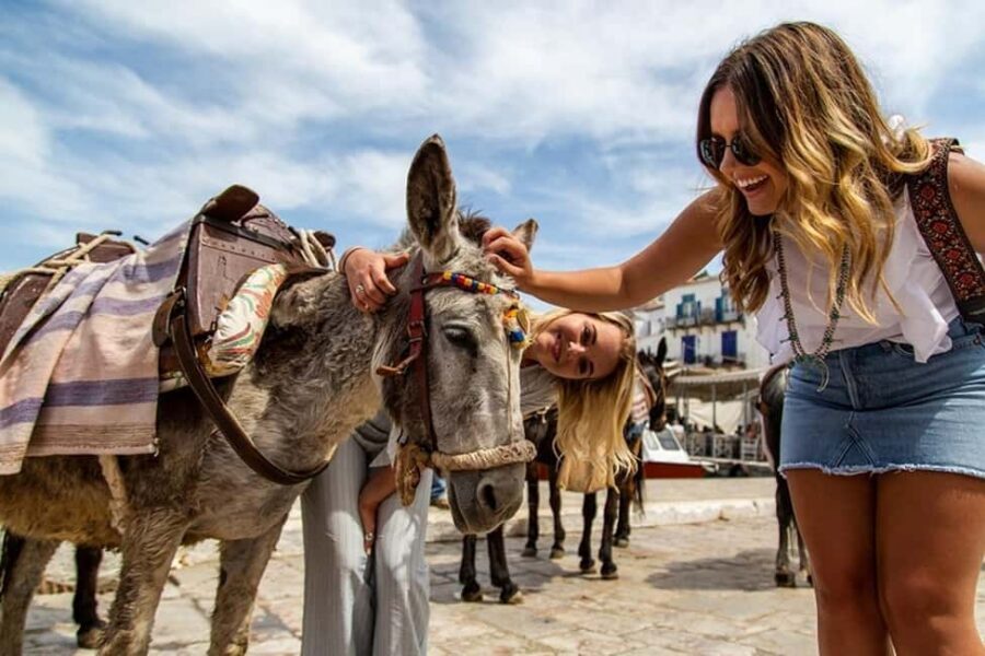 Athens Day Cruise – Since 1965 | Visit Hydra, Poros & Aegina - Who should book this Athens day cruise