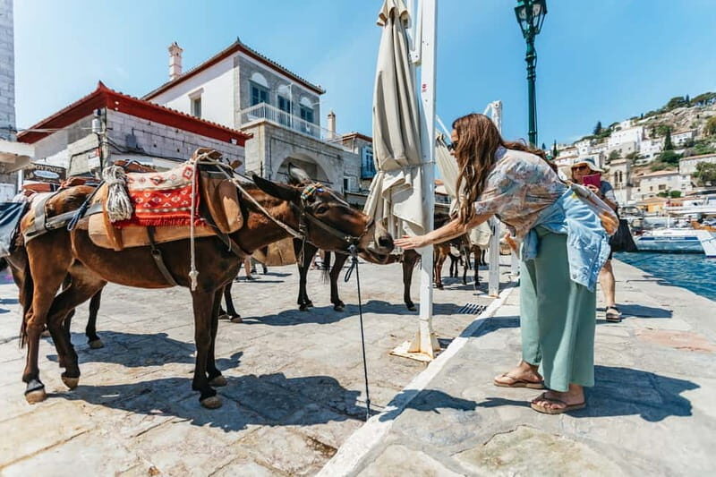 Athens Day Cruise – Since 1965 | Visit Hydra, Poros & Aegina - The boat experience: buffet lunch, bar service, and live Greek music
