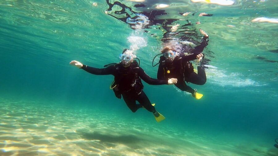 Athens East Coast: Discover Scuba Diving in Nea Makri - Key Highlights You’ll Actually Care About