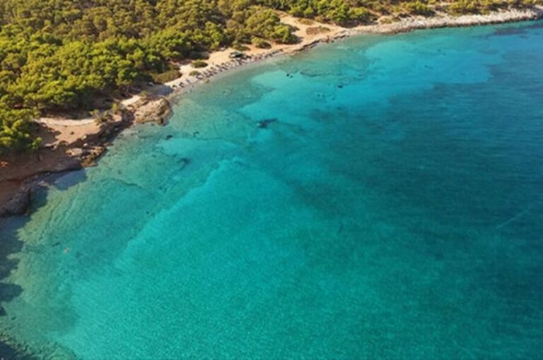 Athens: Ferry Boat Ticket to/from Agistri Island - Piraeus to Agistri: The 95-Minute Ride That Sets Your Day