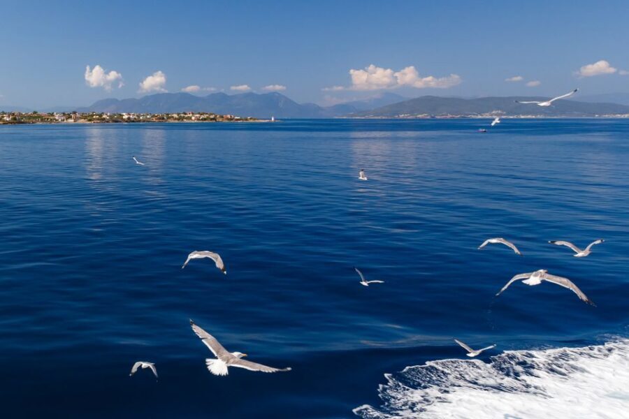 Athens: Guided Day Trip to Aegina Island with Swimming - The Real-World Pace: Heat, Shoes, and Timing Your Energy