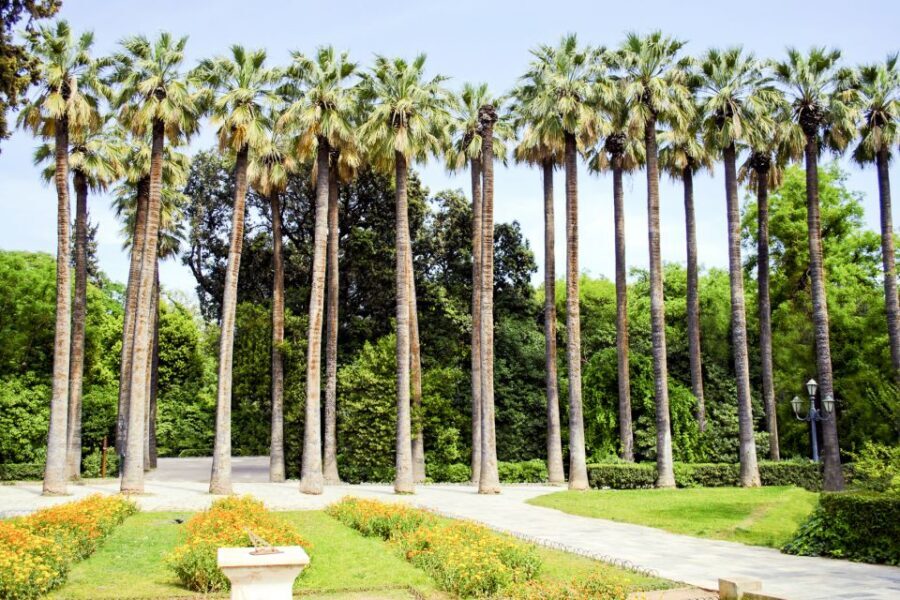 Athens Instagram Tour: The Most Scenic Spots - Key Highlights You’ll Care About