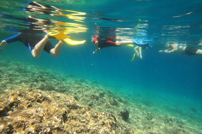 Athens, Nea Makri: Guided Small Group Snorkeling Boat Excursion - Food, drinks, and the in-between time on the water