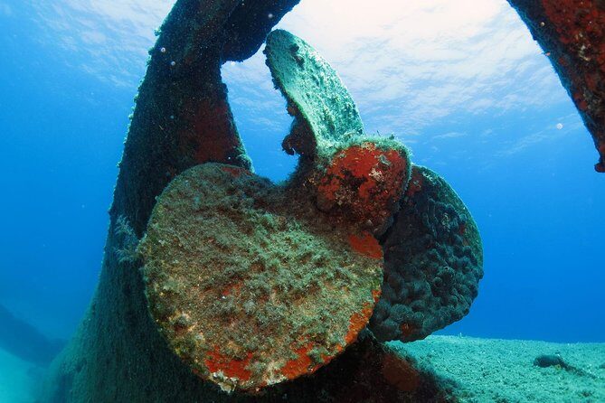 Athens Scuba Diving Experience for Certified Divers with Pickup - Pickup and the 10:00 start: how the 5-hour rhythm usually plays out