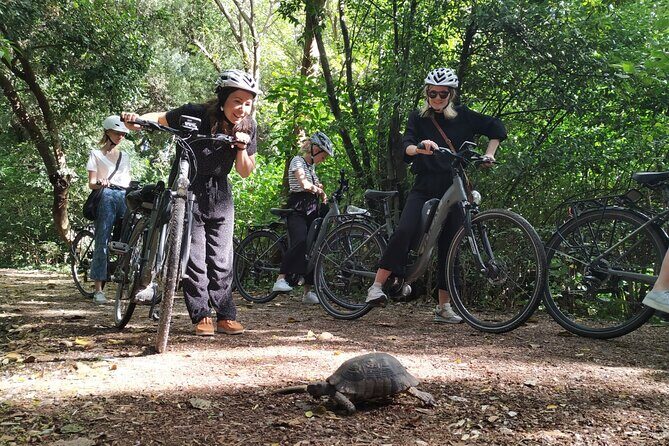 Athens Small Group Electric Bike Tour - The route in detail: Roman stops, Acropolis viewpoints, and Plaka corners