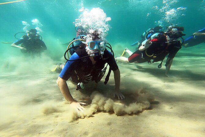 Discover Small Group Scuba Diving Experience in Nea Makri, Athens - Key Highlights You’ll Feel Right Away