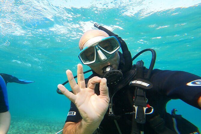 Discover Small Group Scuba Diving Experience in Nea Makri, Athens - Your Underwater Session at 5–6 Meters: What It’s Really Like