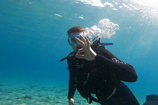 Discover Small Group Scuba Diving Experience in Nea Makri, Athens - Price and Timing: Is $108.61 Good Value?
