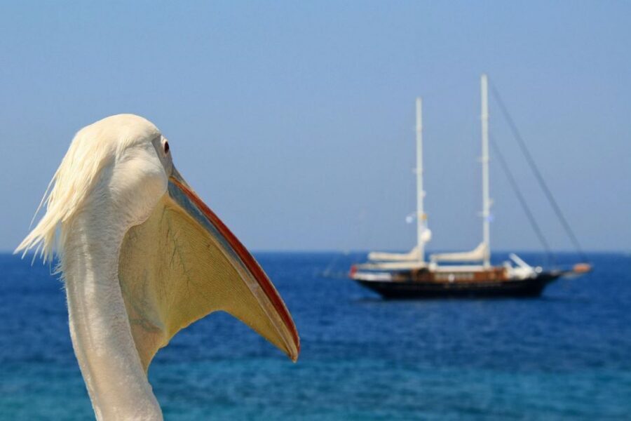 From Athens: 2-Day Santorini and Mykonos Trip - One thing to keep in mind