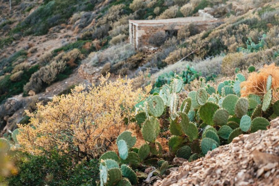 From Athens: Cape Sounion & Temple of Poseidon Half Day Tour - Sunset Timing Changes by Month: Plan for the Real Golden Hour