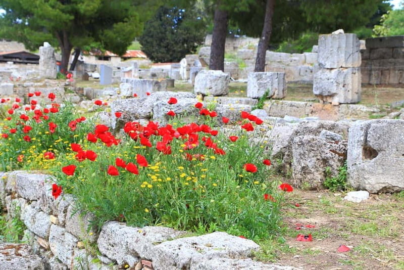From Athens: Explore Ancient Corinth & Charming Nafplion - Who should book this tour (and who might want a different one)