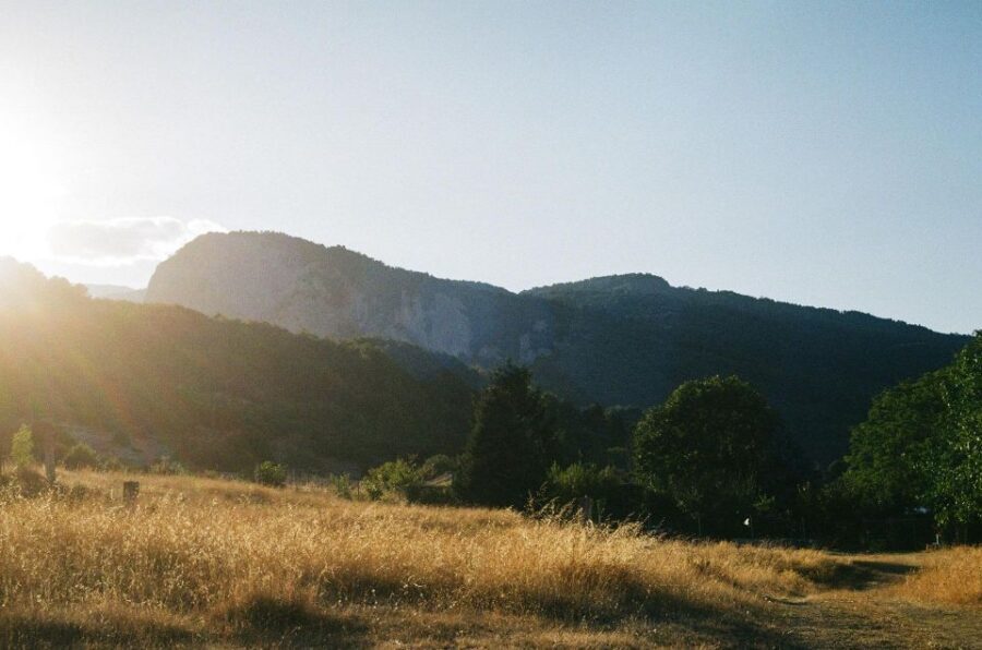 From Athens: Mt. Olympus National Park Guided Day Tour - Should You Book This Mt. Olympus Day Tour from Athens?