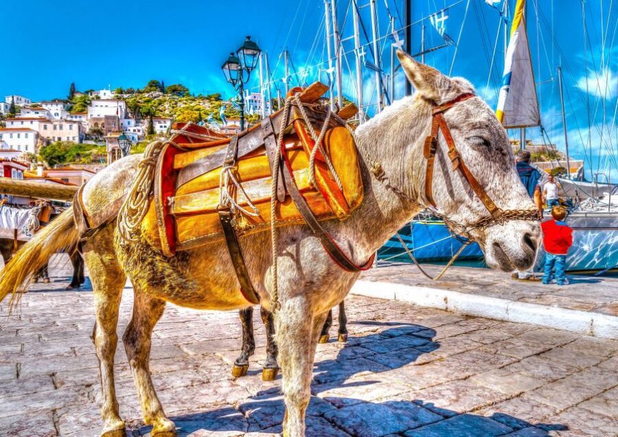 From Athens: Saronic Islands Full-Day Cruise with VIP Seats - Food, drinks, and the real value of the VIP lounge