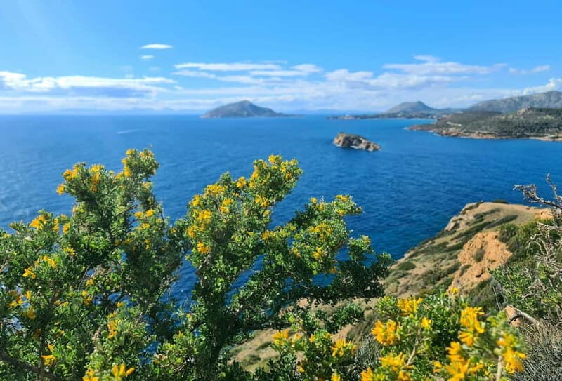 From Athens: Temple of Poseidon & Cape Sounion Half-Day Tour - Temple of Poseidon Time: 75 Minutes With Audio Help and Room to Breathe