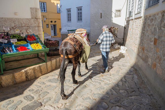 Hydra, Poros and Egina Day Cruise from Athens with Optional VIP Upgrade - Ship crowding, toilets, and the small rules that save your time