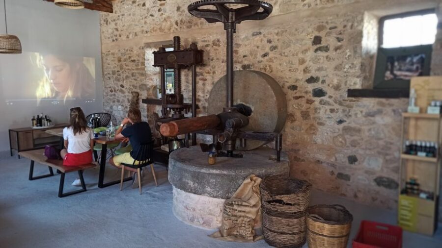Kalamata: The Olive Oil Routes Tour - Practical tips so you get the best day
