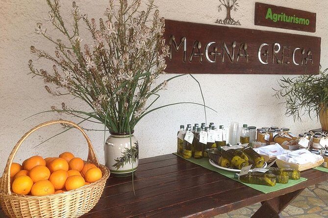 Katakolon 7hour tour : Olympia-Honey Farm-Winery-Beach - Klio’s Honey Farm: The Most Greek Stop in the Best Way