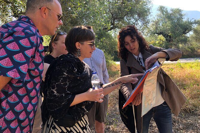 Organic Olive Grove tour & Olive oil tasting & lunch in Kalamata! - Key points before you go