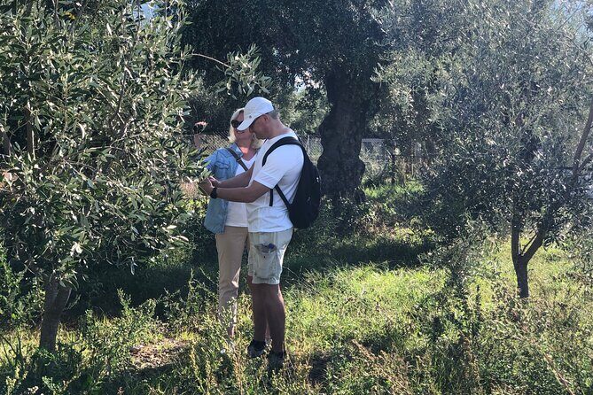 Organic Olive Grove tour & Olive oil tasting & lunch in Kalamata! - Tasting Extra-Virgin Oils in Old Kalamata