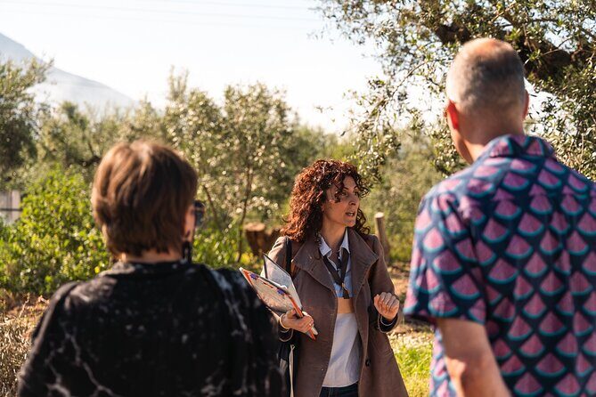 Organic Olive Grove tour & Olive oil tasting & lunch in Kalamata! - The Certified Olive Oil Mill: Where Flavor Gets Made