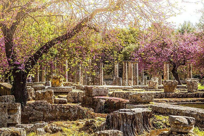 Private Excursion to Ancient Olympia - bee farm & winery - Katakolo Port pickup: private comfort for a tight day