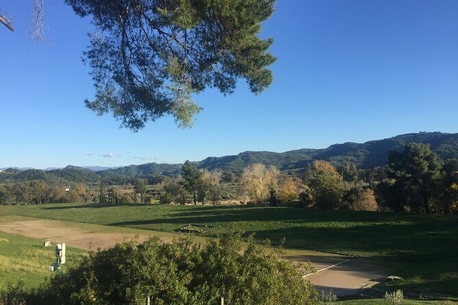 Private Excursion to Ancient Olympia - bee farm & winery - Klio’s Honey Farm: the off-the-beaten-track sweet stop