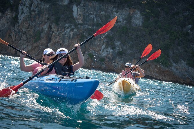 Sea Kayaking in Navarino Bay - Key things to know before you go