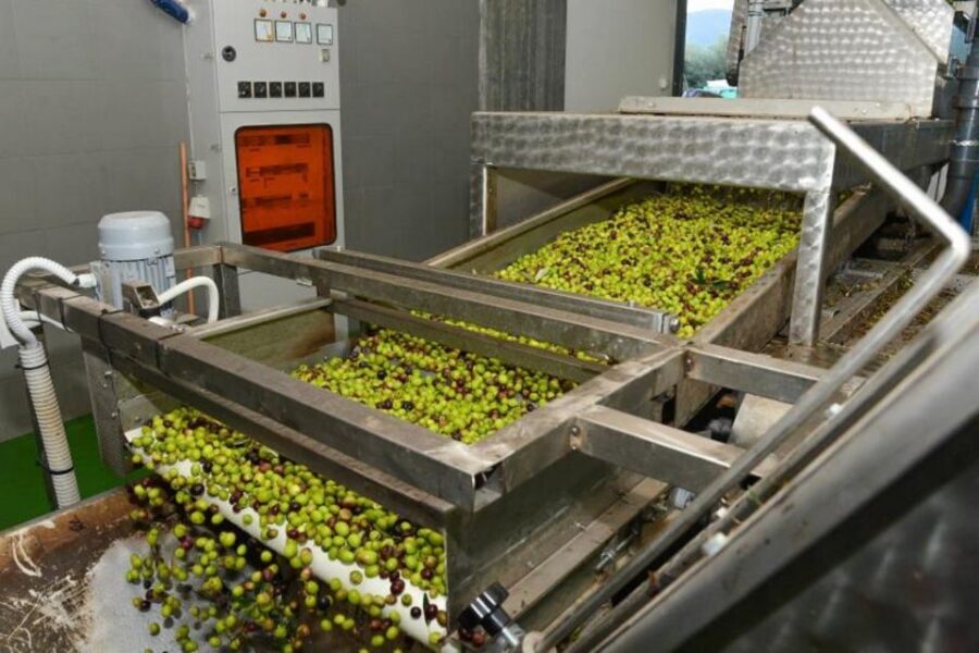 Short Tour of Olympia, an Olive Oil Press & St. Andrew Beach - The olive oil press stop: the part that most people remember
