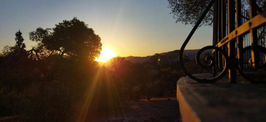 Sunrise Yoga & Meditation Acropolis & 360 view - Sunrise vs Sunset: When the Light Turns Athens Golden