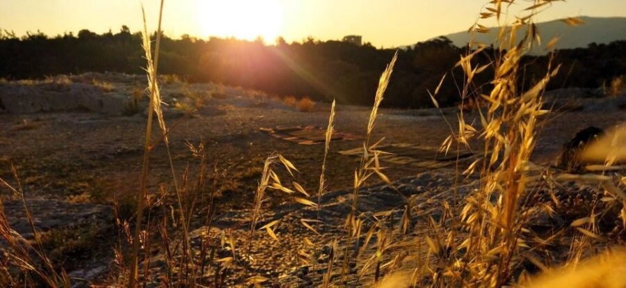 Sunrise Yoga & Meditation Acropolis & 360 view - Price and Value: Why $44 Feels Fair for 2 Hours