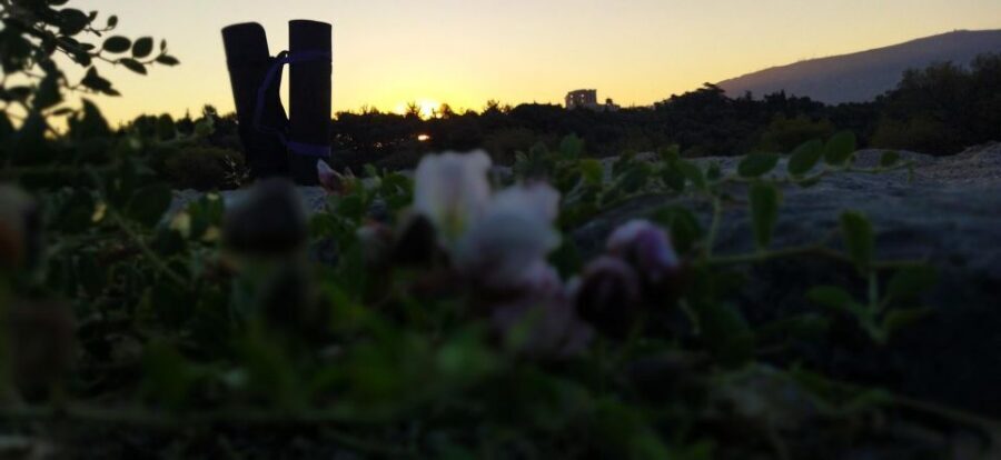 Sunrise Yoga & Meditation Acropolis & 360 view - Who This Fits Best (and Who Should Skip It)