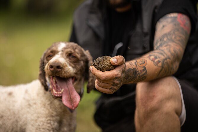 Truffle Hunting at Meteora - Start at the Natural History Museum: Mushroom Tastings Before the Hunt
