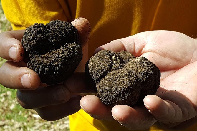 Truffle Hunting at Meteora - Price and Value: What $744.24 Per Group Really Means